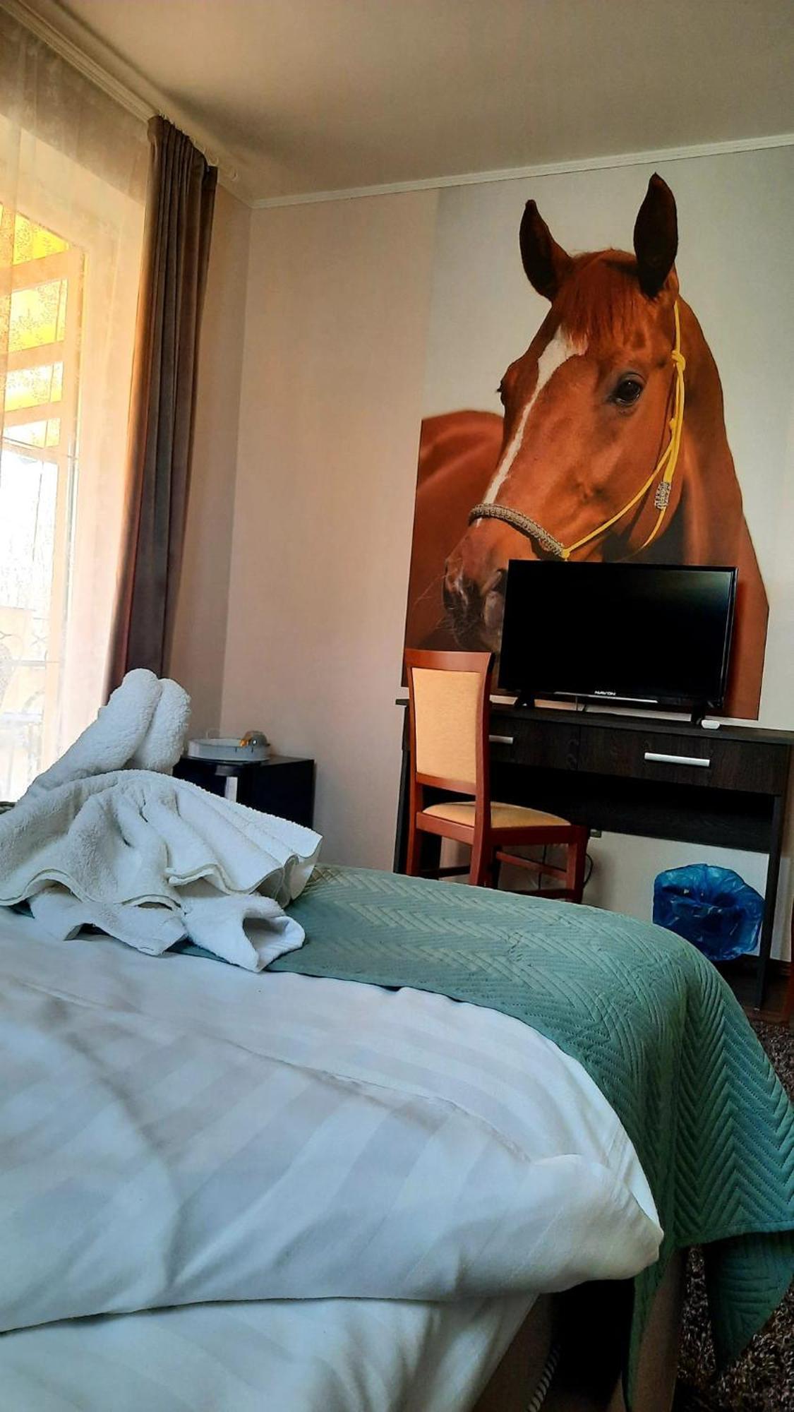 Caballus Lovasmajor Panzio Nyíregyháza 외부 사진